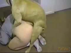 Sexy Brazilian woman can't live without fucking with her daughter's dog in the living room 